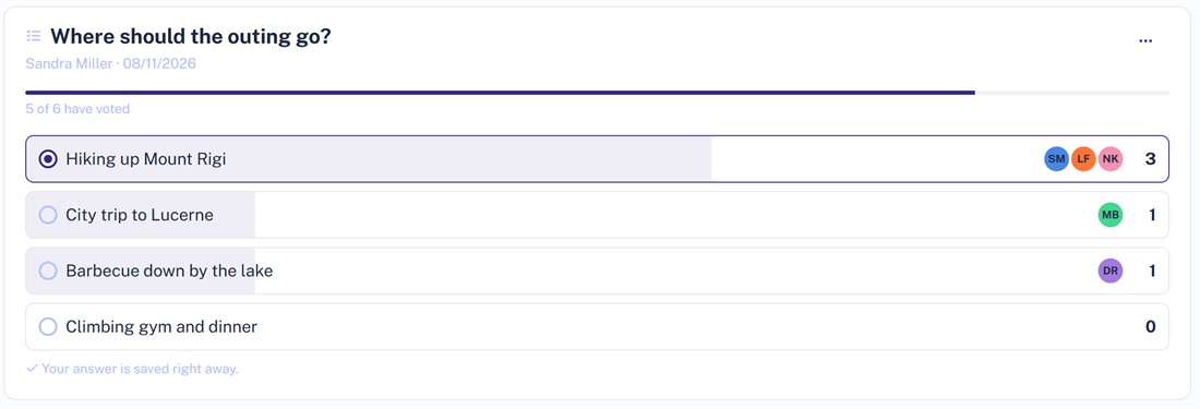 Decision poll in Projoodle: four answer options with bars, vote counts and the participants' initials